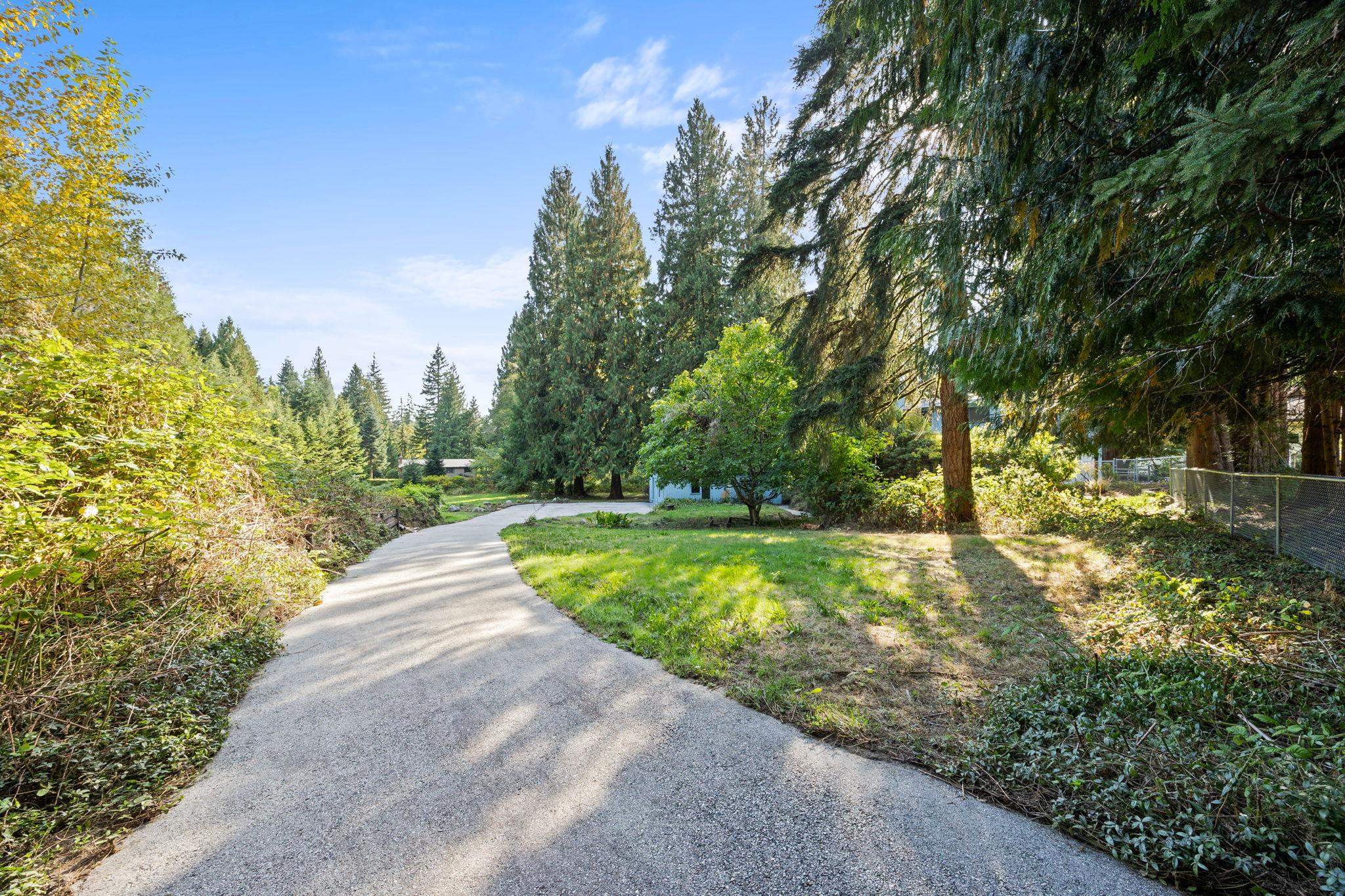 3290 Hazel Avenue, Coquitlam 5